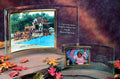 3.5" x 5" Horizontal Frame